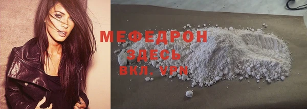 молекула духа Богородицк
