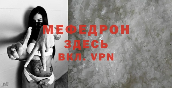 молекула духа Богородицк