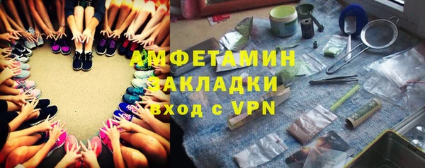 молекула духа Богородицк