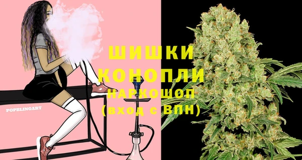 гидра Белоозёрский