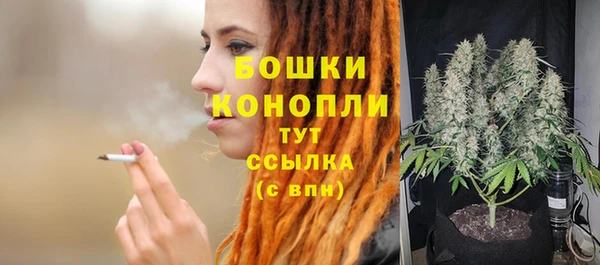 молекула духа Богородицк