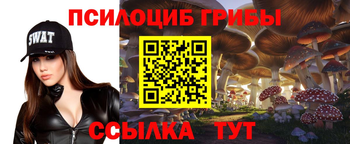 Вязники  Галлюциногенные грибы Psilocybe  Вход с VPN 