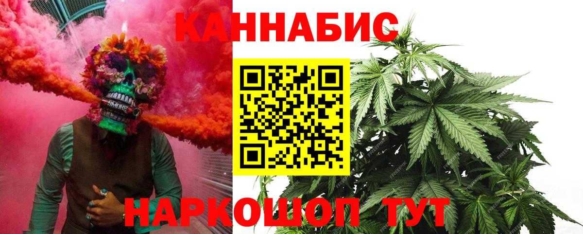 Бошки Шишки план Вязники